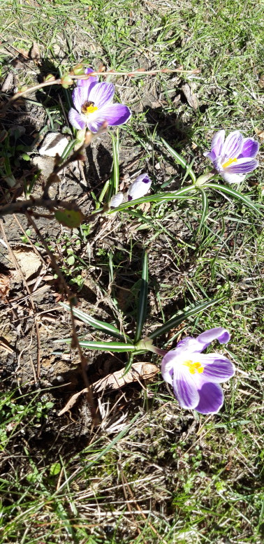 20190317_110319