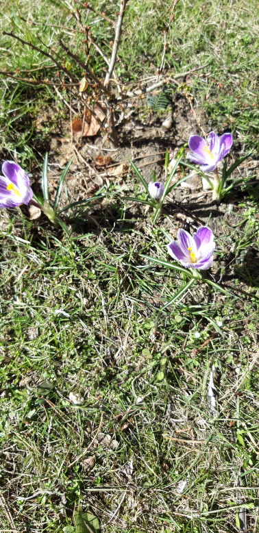 20190317_110349
