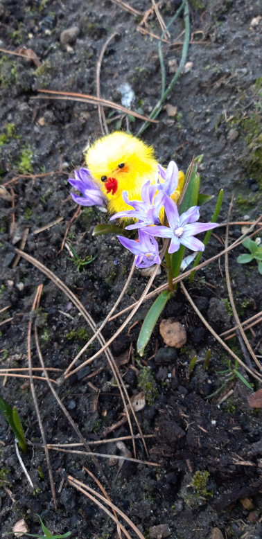 20190319_062616